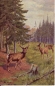 Preview: Jelen evropský 19xx 95 006 PL ● - Fauna